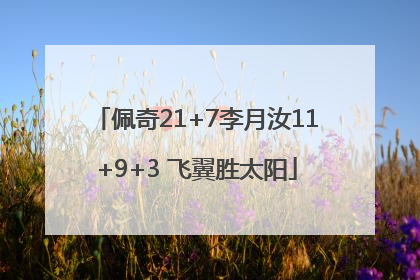 佩奇21+7李月汝11+9+3 飞翼胜太阳