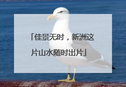 佳景无时，新洲这片山水随时出片
