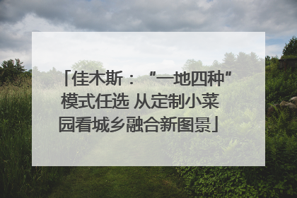 佳木斯:“一地四种” 模式任选 从定制小菜园看城乡融合新图景