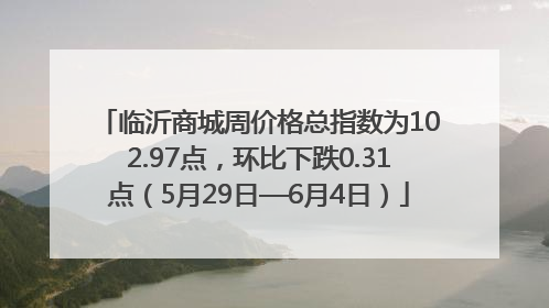 临沂商城周价格总指数为102.97点，环比下跌0.31点（5月29日—6月4日）