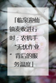 临泉迎仙镇麦收进行时：农机手“无忧作业”背后的服务温度