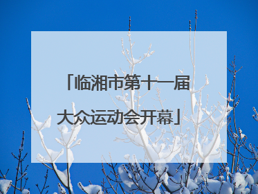 临湘市第十一届大众运动会开幕