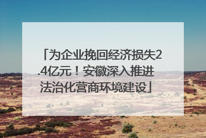 为企业挽回经济损失2.4亿元！安徽深入推进法治化营商环境建设