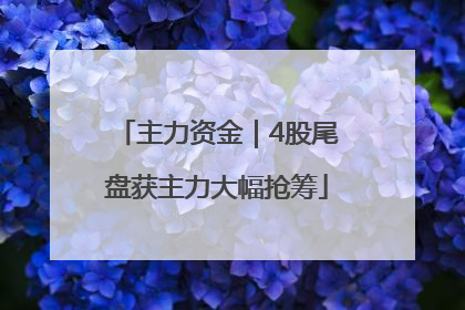 主力资金｜4股尾盘获主力大幅抢筹