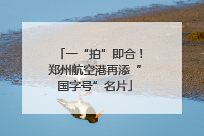 一“拍”即合！郑州航空港再添“国字号”名片