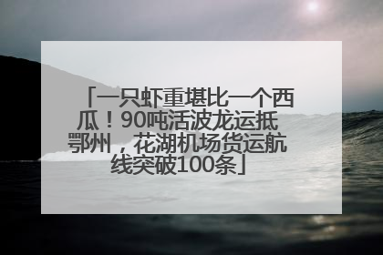 一只虾重堪比一个西瓜！90吨活波龙运抵鄂州，花湖机场货运航线突破100条