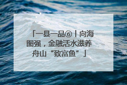 一县一品⑥丨向海图强，金融活水滋养舟山“致富鱼”