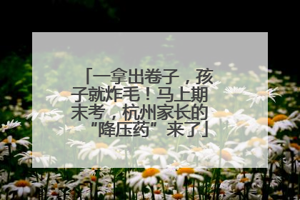 一拿出卷子，孩子就炸毛！马上期末考，杭州家长的“降压药”来了