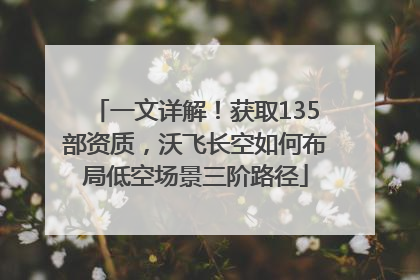 一文详解！获取135部资质，沃飞长空如何布局低空场景三阶路径