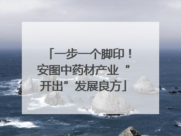 一步一个脚印！安图中药材产业“开出”发展良方