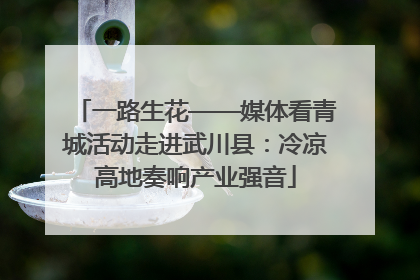 一路生花——媒体看青城活动走进武川县：冷凉高地奏响产业强音