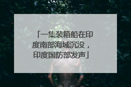 一集装箱船在印度南部海域沉没，印度国防部发声