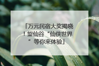 万元民宿大奖揭晓！望仙谷“仙侠世界”等你来体验