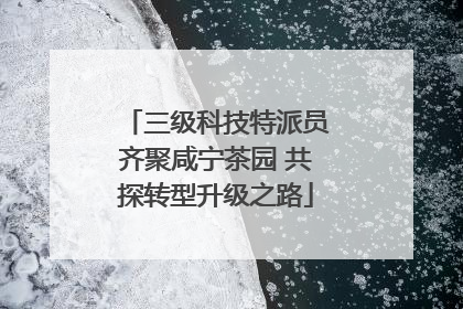 三级科技特派员齐聚咸宁茶园 共探转型升级之路