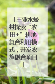 三亚水蛟村探索“农田+”耕地复合利用模式，开发农旅融合项目
