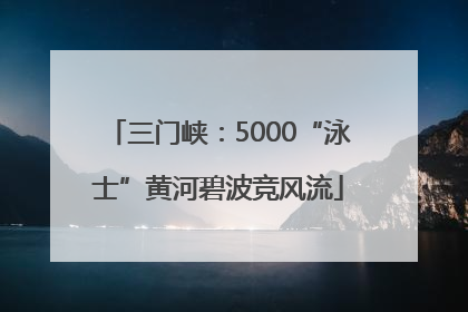 三门峡：5000“泳士”黄河碧波竞风流