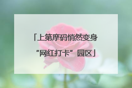 上第摩码悄然变身“网红打卡”园区