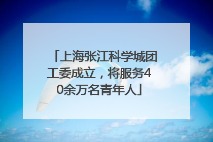 上海张江科学城团工委成立，将服务40余万名青年人