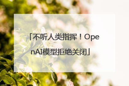 不听人类指挥！OpenAI模型拒绝关闭