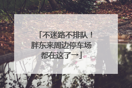 不迷路不排队！胖东来周边停车场都在这了→