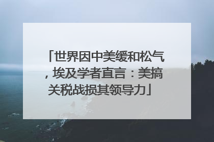 世界因中美缓和松气，埃及学者直言：美搞关税战损其领导力