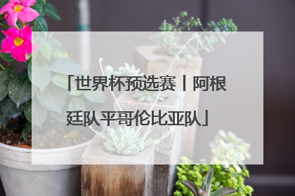世界杯预选赛丨阿根廷队平哥伦比亚队