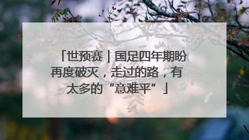 世预赛｜国足四年期盼再度破灭，走过的路，有太多的“意难平”
