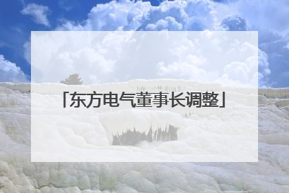 东方电气董事长调整