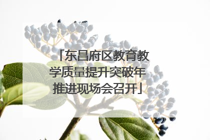 东昌府区教育教学质量提升突破年推进现场会召开