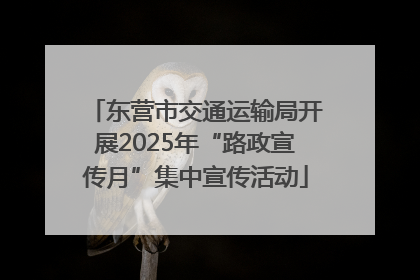 东营市交通运输局开展2025年“路政宣传月”集中宣传活动