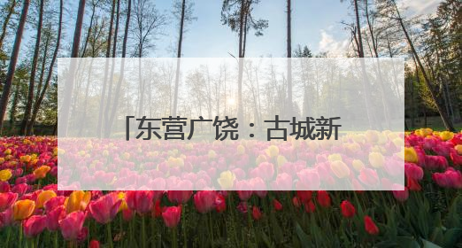 东营广饶：古城新韵里的文明交响