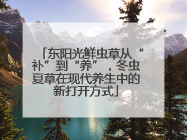 东阳光鲜虫草从“补”到“养”，冬虫夏草在现代养生中的新打开方式