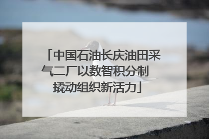 中国石油长庆油田采气二厂以数智积分制 撬动组织新活力