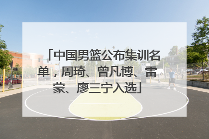 中国男篮公布集训名单，周琦、曾凡博、雷蒙、廖三宁入选