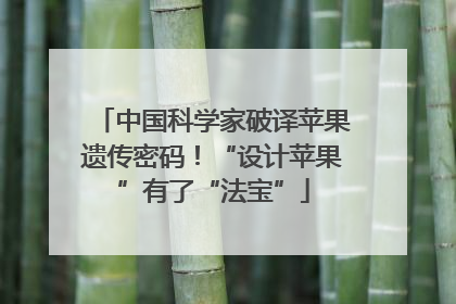 中国科学家破译苹果遗传密码！“设计苹果”有了“法宝”