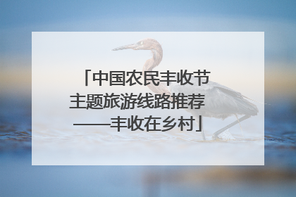 中国农民丰收节主题旅游线路推荐——丰收在乡村