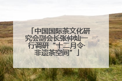 中国国际茶文化研究会副会长张仲灿一行调研“十二月令·非遗茶空间”