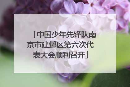 中国少年先锋队南京市建邺区第六次代表大会顺利召开