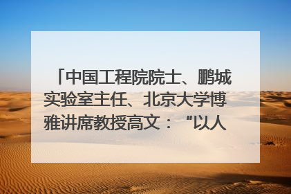 中国工程院院士、鹏城实验室主任、北京大学博雅讲席教授高文：“以人为本 智能向善” 推动文化与科技相生相促｜聚焦2025文化强国建设高峰论坛