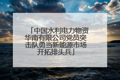 中国水利电力物资华南有限公司党员突击队勇当新能源市场开拓排头兵