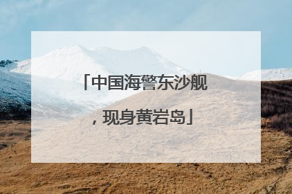 中国海警东沙舰，现身黄岩岛