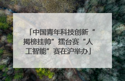 中国青年科技创新“揭榜挂帅”擂台赛“人工智能”赛在沪举办