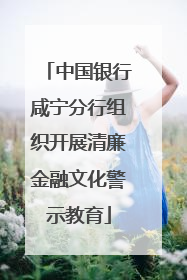 中国银行咸宁分行组织开展清廉金融文化警示教育