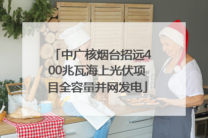 中广核烟台招远400兆瓦海上光伏项目全容量并网发电