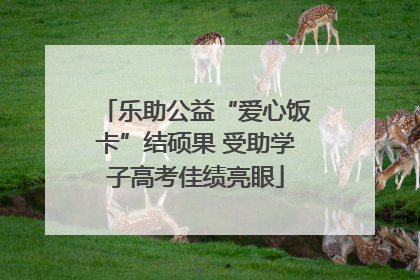 乐助公益“爱心饭卡”结硕果 受助学子高考佳绩亮眼