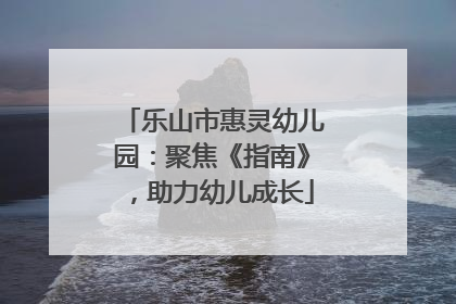 乐山市惠灵幼儿园：聚焦《指南》，助力幼儿成长