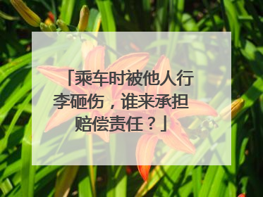 乘车时被他人行李砸伤，谁来承担赔偿责任？