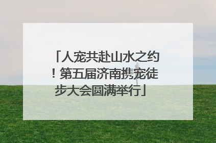 人宠共赴山水之约！第五届济南携宠徒步大会圆满举行