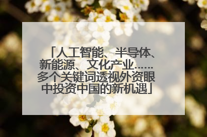 人工智能、半导体、新能源、文化产业……多个关键词透视外资眼中投资中国的新机遇