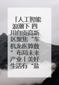 人工智能浪潮下 四川自贡高新区聚焦“车机龙医算数”布局未来产业丨美好生活有“盐”味